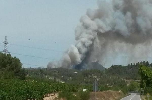El incendio más grande del año en Catalunya, en imágenes |