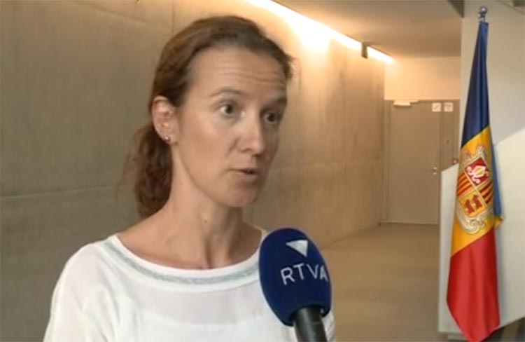 El Govern canviarà l’estructura de FEDA per obrir-la al capital privat