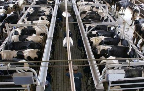 TTIP: La Carne que nos matará