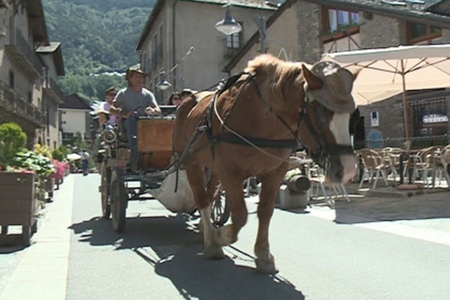 Veïns d’Ordino recullen signatures per retirar una carrossa per a turistes arrossegada per un cavall