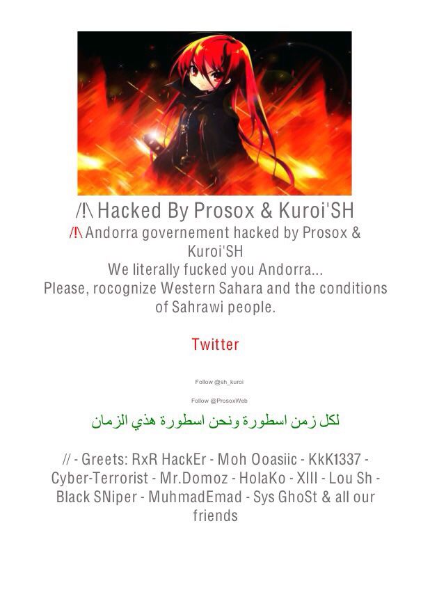 Govern posa en mans de la policia la investigació dels atacs cibernètics als llocs web