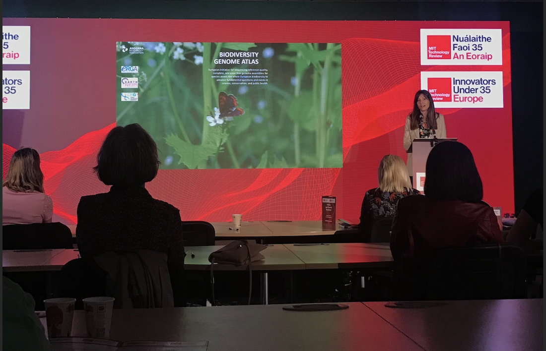 Una imatge del certamen celebrat a Irlanda.