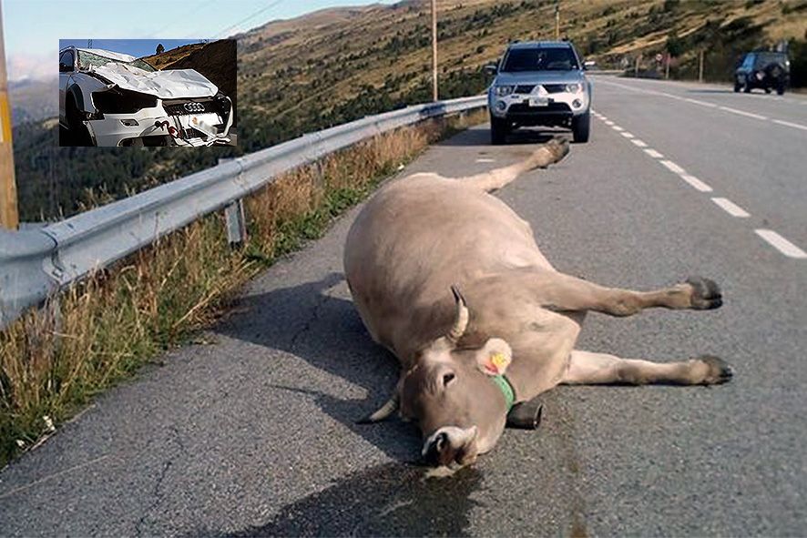 El comú d\'Encamp prescindeix del vaquer que va denunciar manca de seguretat al port d\'Envalira