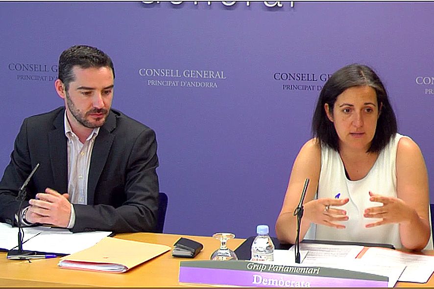 DA es mostren \"convençuts\" de tirar endavant el procés d\'associació amb la UE encara que la negociació \"es podria alentir\"