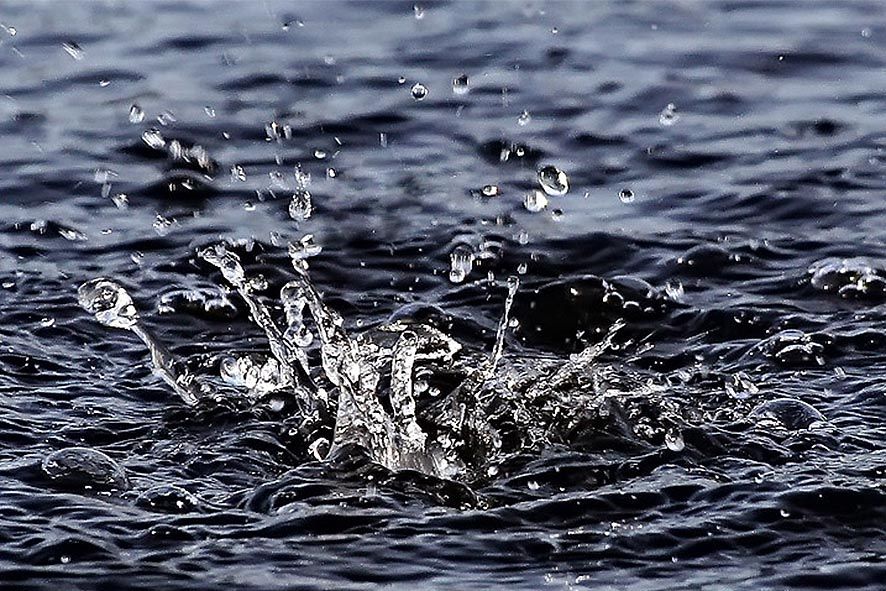 Patètic, per Laura M. C.