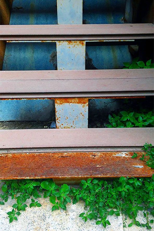 El CIAM es \'podreix\' entre l\'abandonament i la ignorància