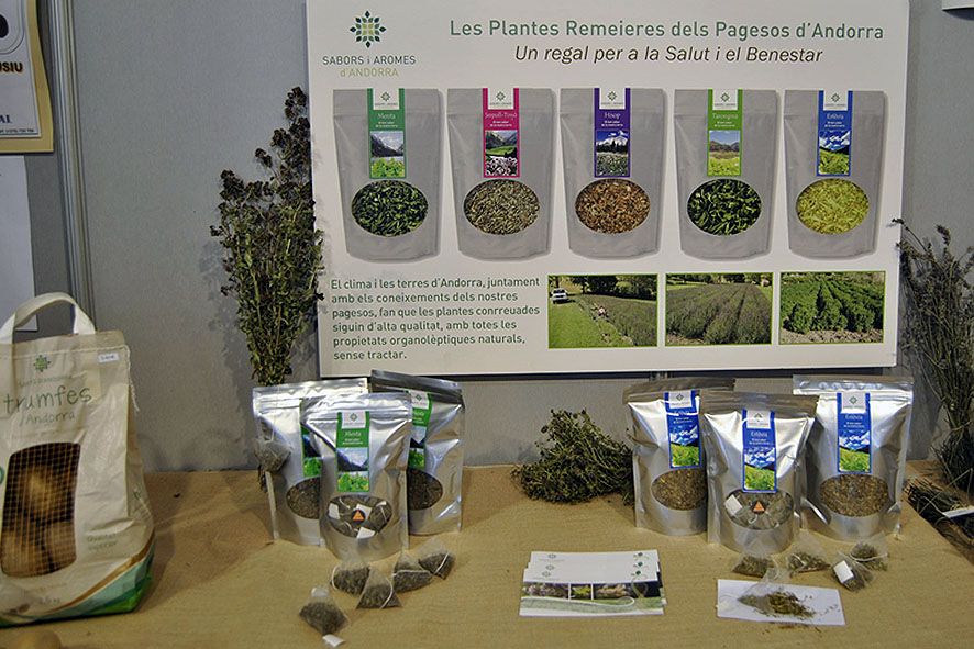 Sabors i Aromes lamenta que Alcobé, com a ministre, s\'hagi \"desmarcat\" d\'un projecte que \"va impulsar\"