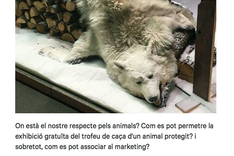 La pressió a través de les xarxes socials obliga una armeria a retirar una pell de llop d\'un aparador