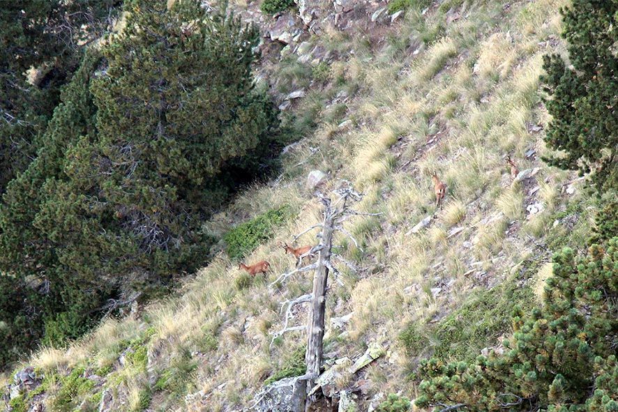 Sindicats de l\'administració consideren que hi haurà expedient laboral per al \'furtiu del COEX\'