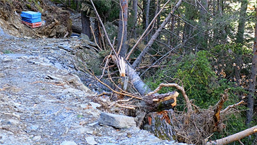 FEDA garanteix als veïns de l\'Aldosa que frena l\'estació elèctrica fins que no es trobi una alternativa consensuada