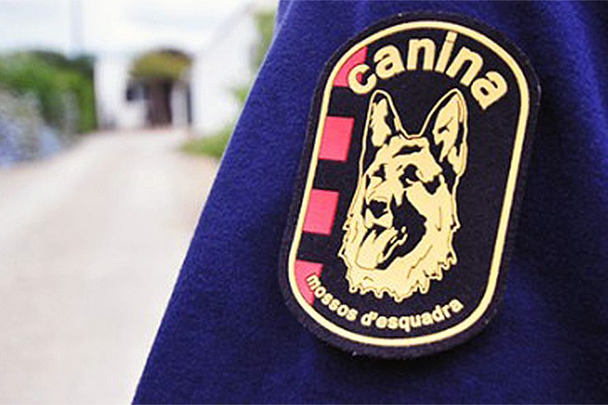 Un gos de la policia andorrana mossega un mosso en un entrenament i li han d\'aplicar 50 punts al cap