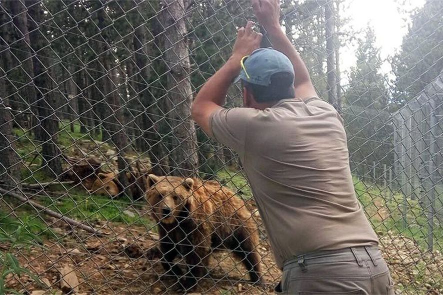 La policia comença a escoltar testimonis per intentar aclarir l\'episodi de l\'ós de Naturlandia La policia comença a escoltar testimonis per intentar aclarir l\'episodi de l\'ós de Naturlandia