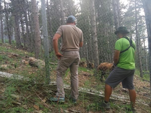 ¿Però per quina porta va fugir del tancat l\'ós de Naturlandia?