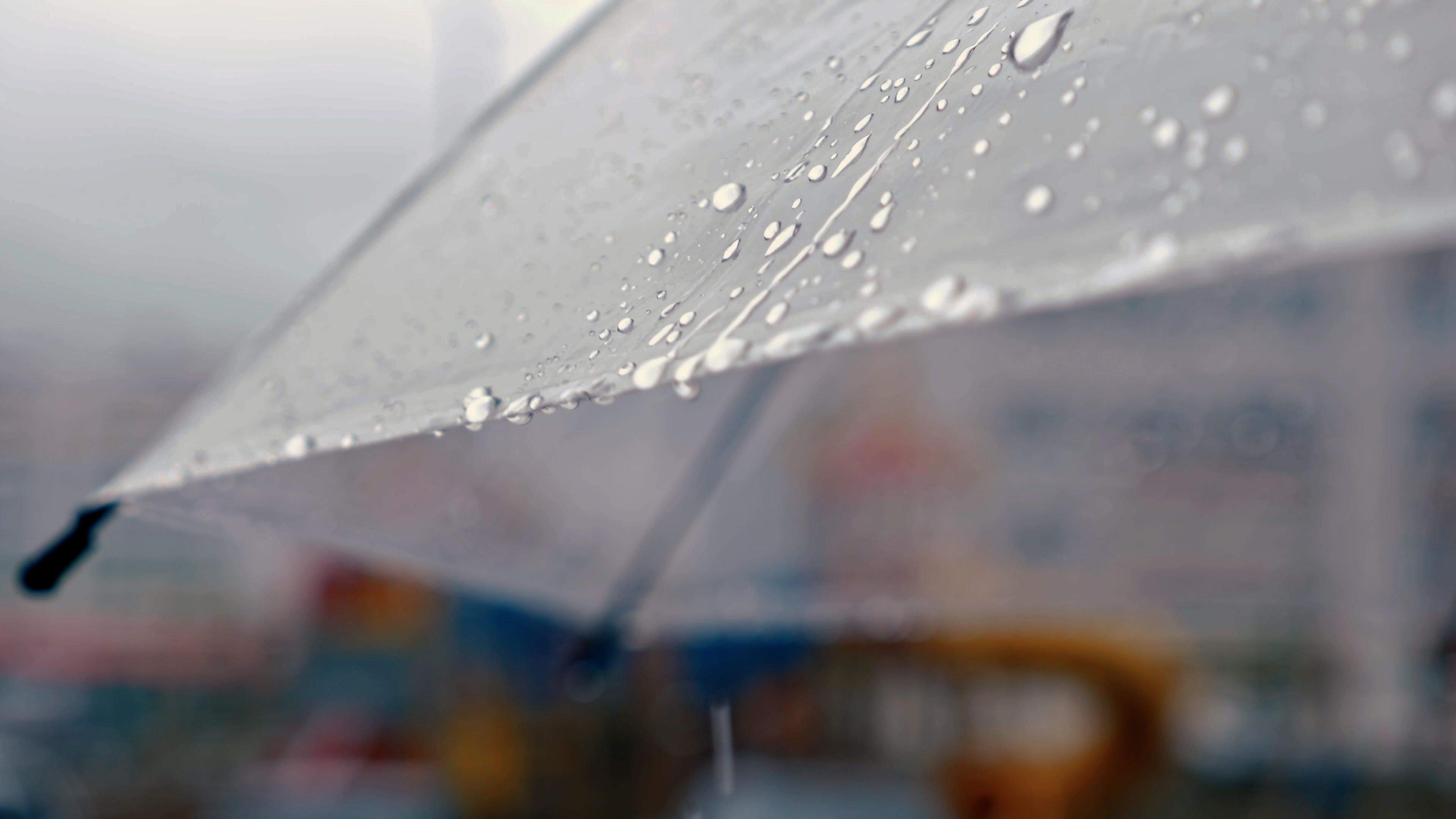 Detall de les gotes de la pluja.