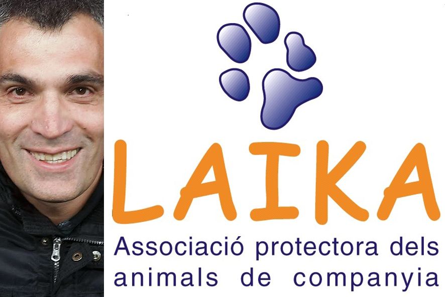 Laika podria arribar a demanar un any de presó i sis mil euros de multa a l\'home detingut per maltractar un gos Laika podria arribar a demanar un any de presó i sis mil euros de multa a l\'home detingut per maltractar un gos