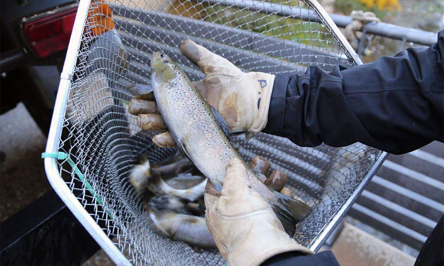 Sant Julià assegura que està duent a terme els treballs de preparació del riu per posar en marxa el ràfting Sant Julià assegura que està duent a terme els treballs de preparació del riu per posar en marxa el ràfting
