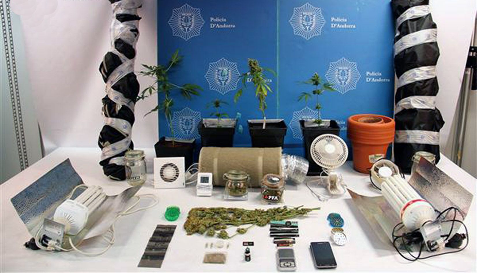 Desmantellat a Encamp un hivernacle on es cultivava marihuana