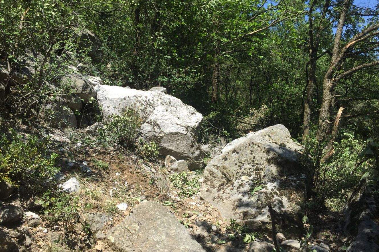 Algunes de les roques que es van desprendre i van ser aturades per la vegetació.