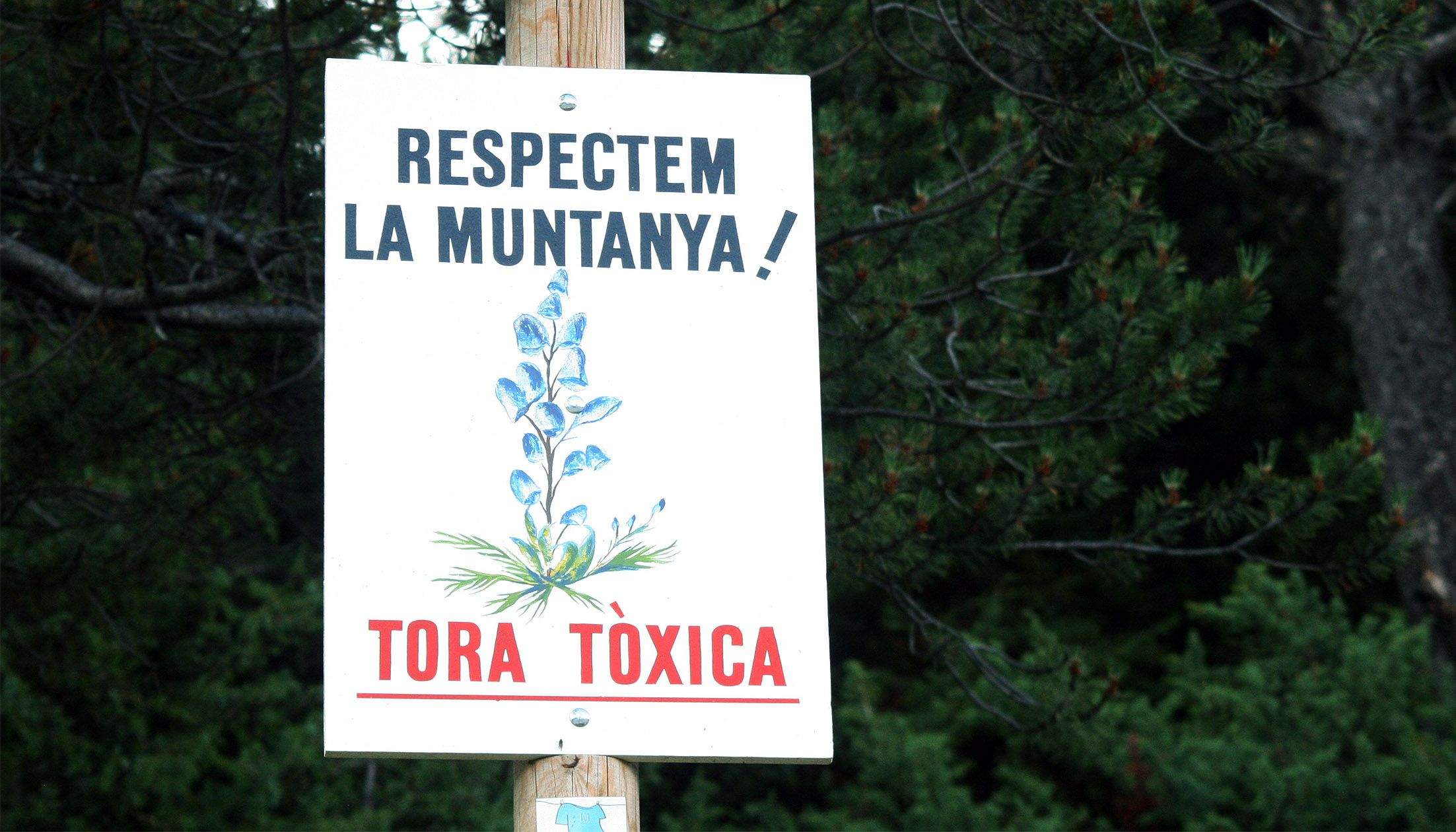 Un cartell que adverteix de la toxicitat de la tora al coll d'Ordino.