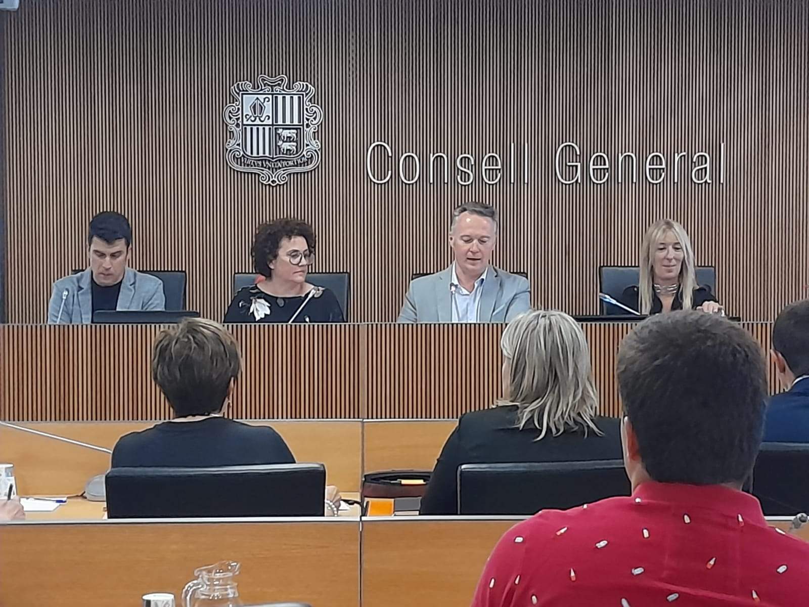 La ministra d'Afers Socials, Judith Pallarés (segona per l'esquerra) en la compareixença al Consell General.