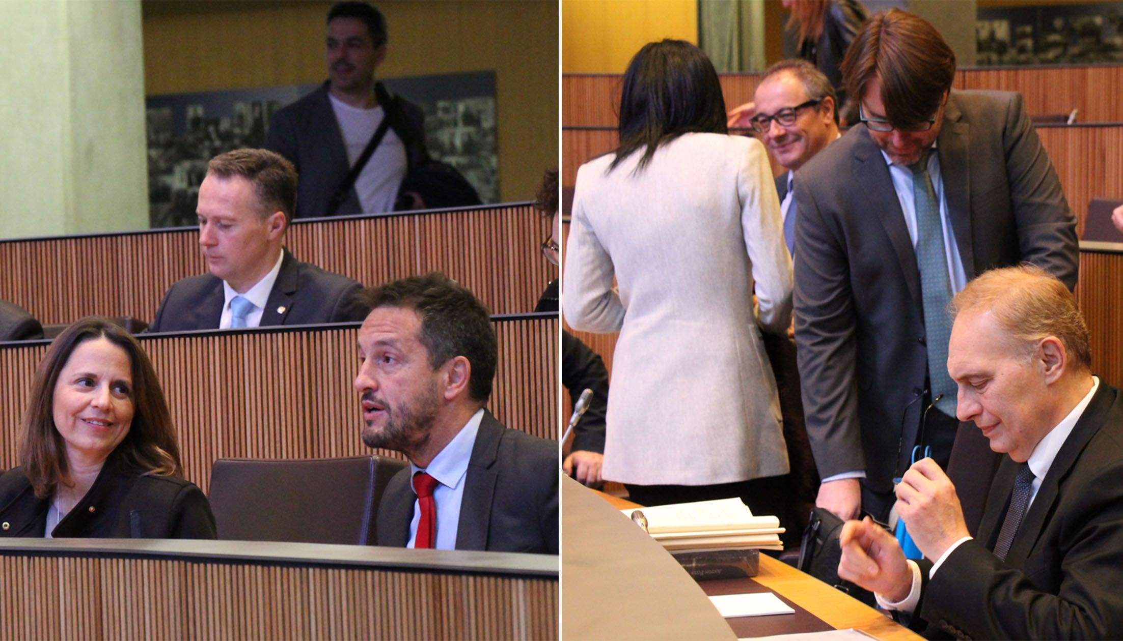 Consellers del PS i liberals o massanencs i lauredians durant la sessió d'aquest dijous.