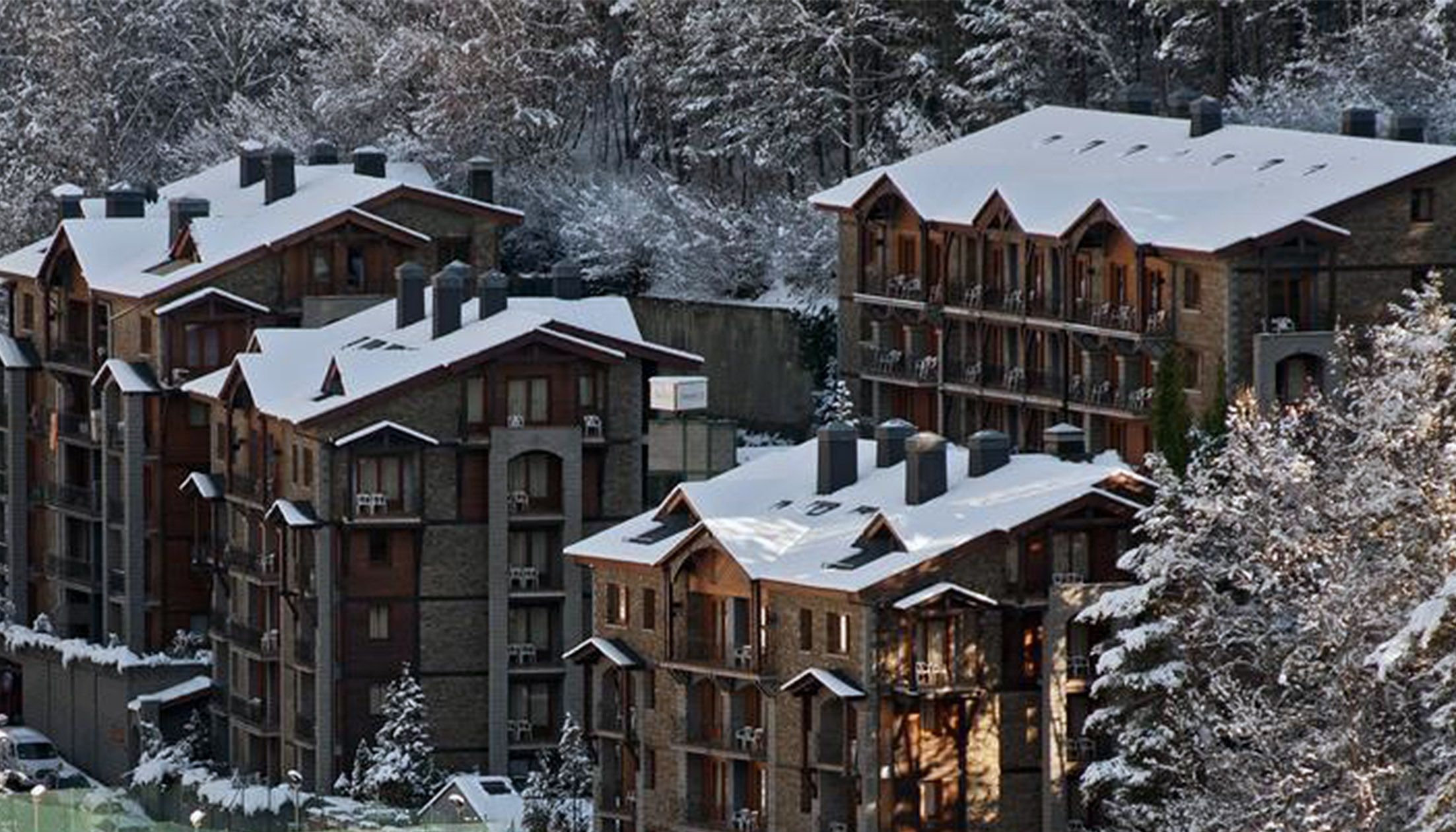 El gos va estar tres setmanes tancat en un apartament d'Anyós.