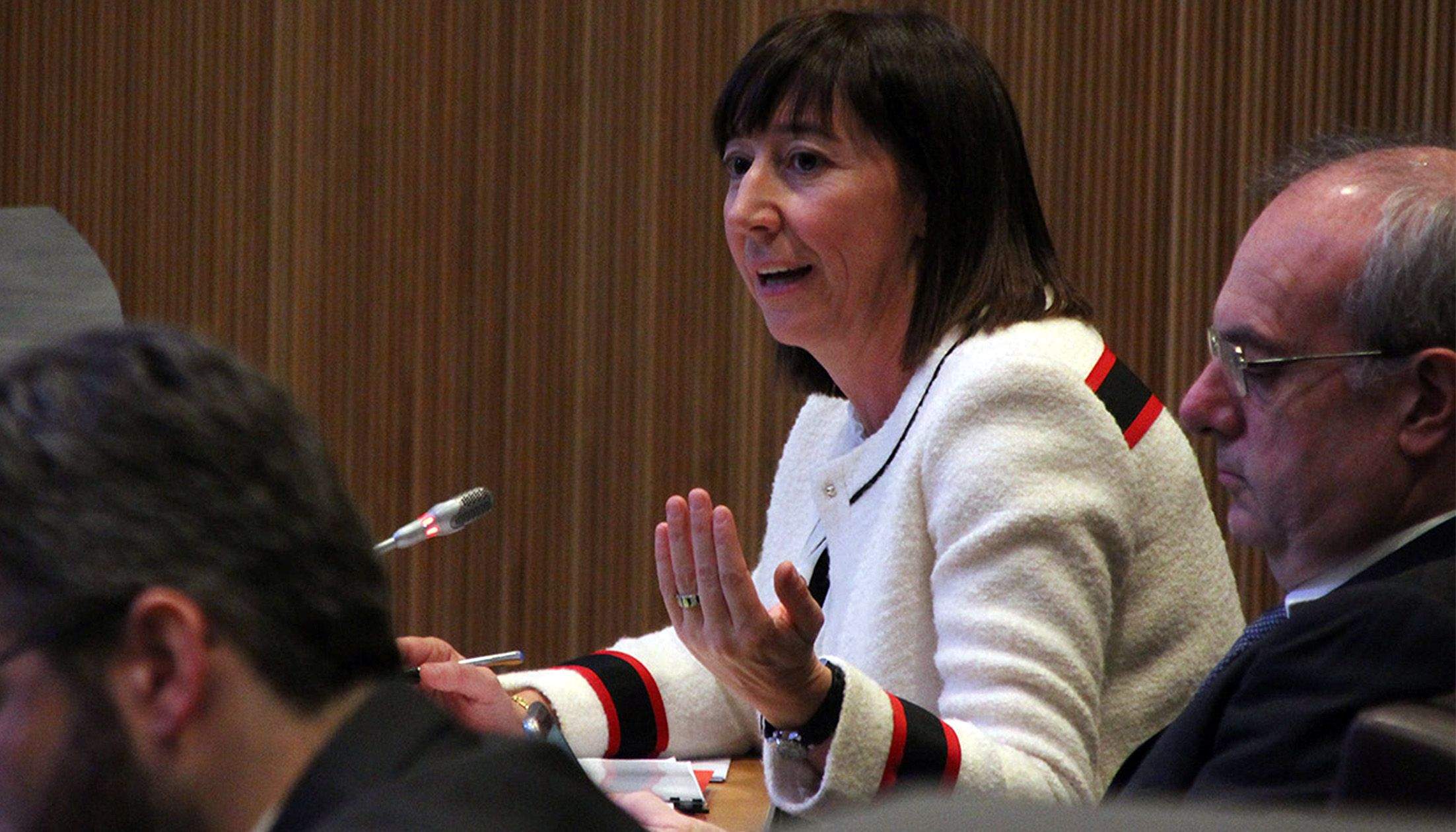 La ministra de Funció Pública, Eva Descarrega, durant el debat en relació a la reforma de la normativa sobre el funcionariat.