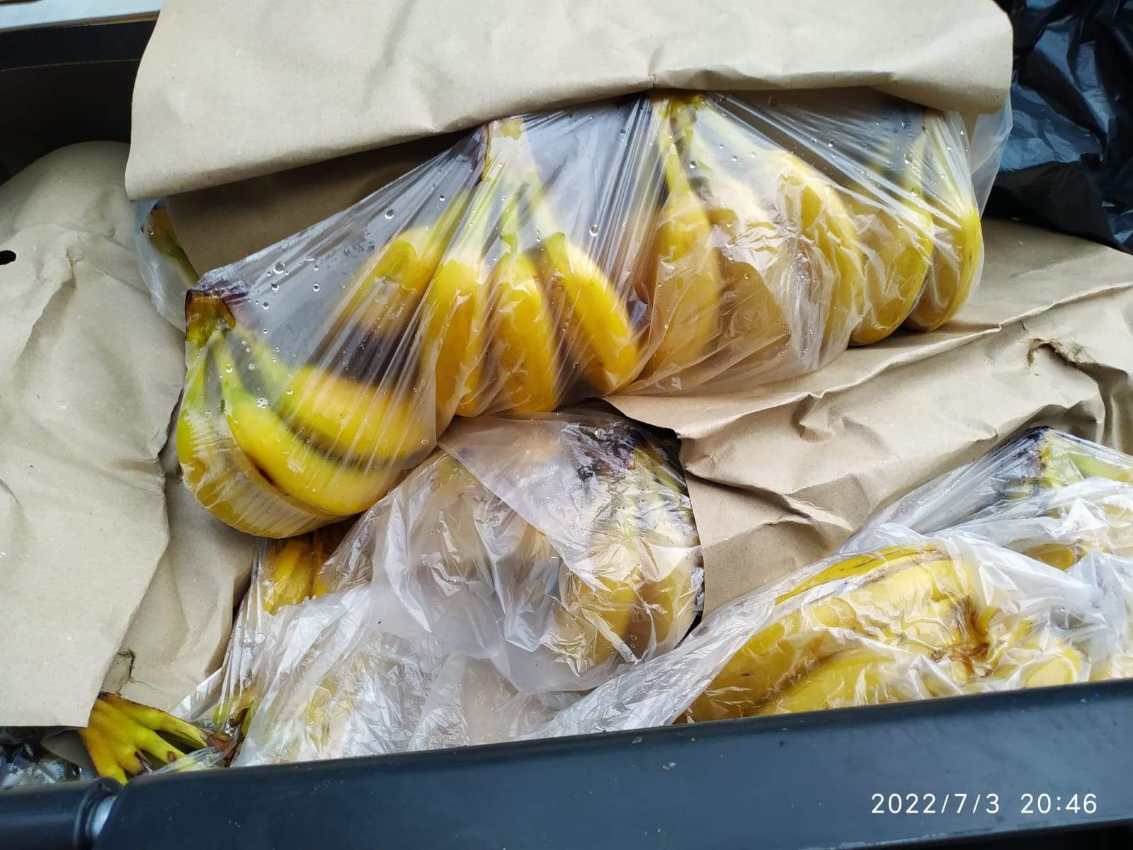 Desenes de plàtans a la brossa.