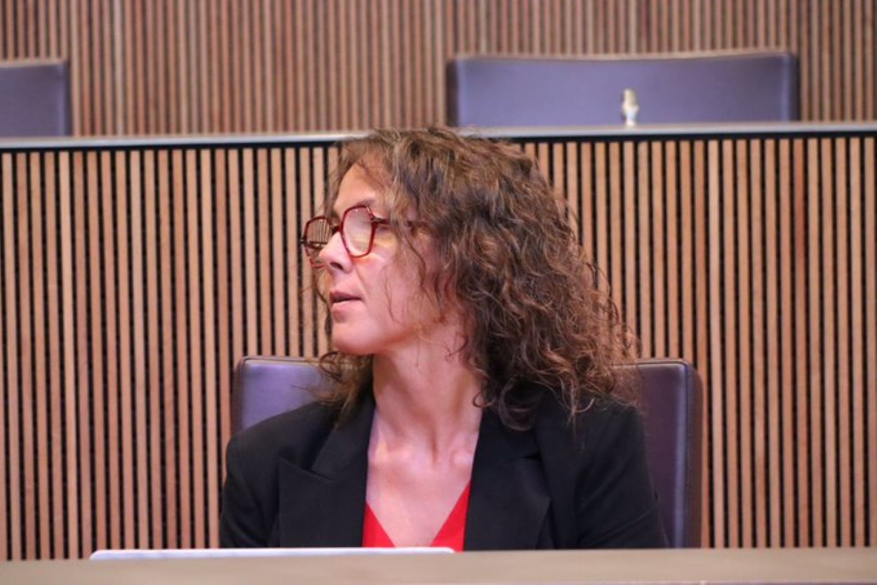 La consellera socialdemòcrata Judith Salazar durant la sessió de Consell General d'aquest dijous.