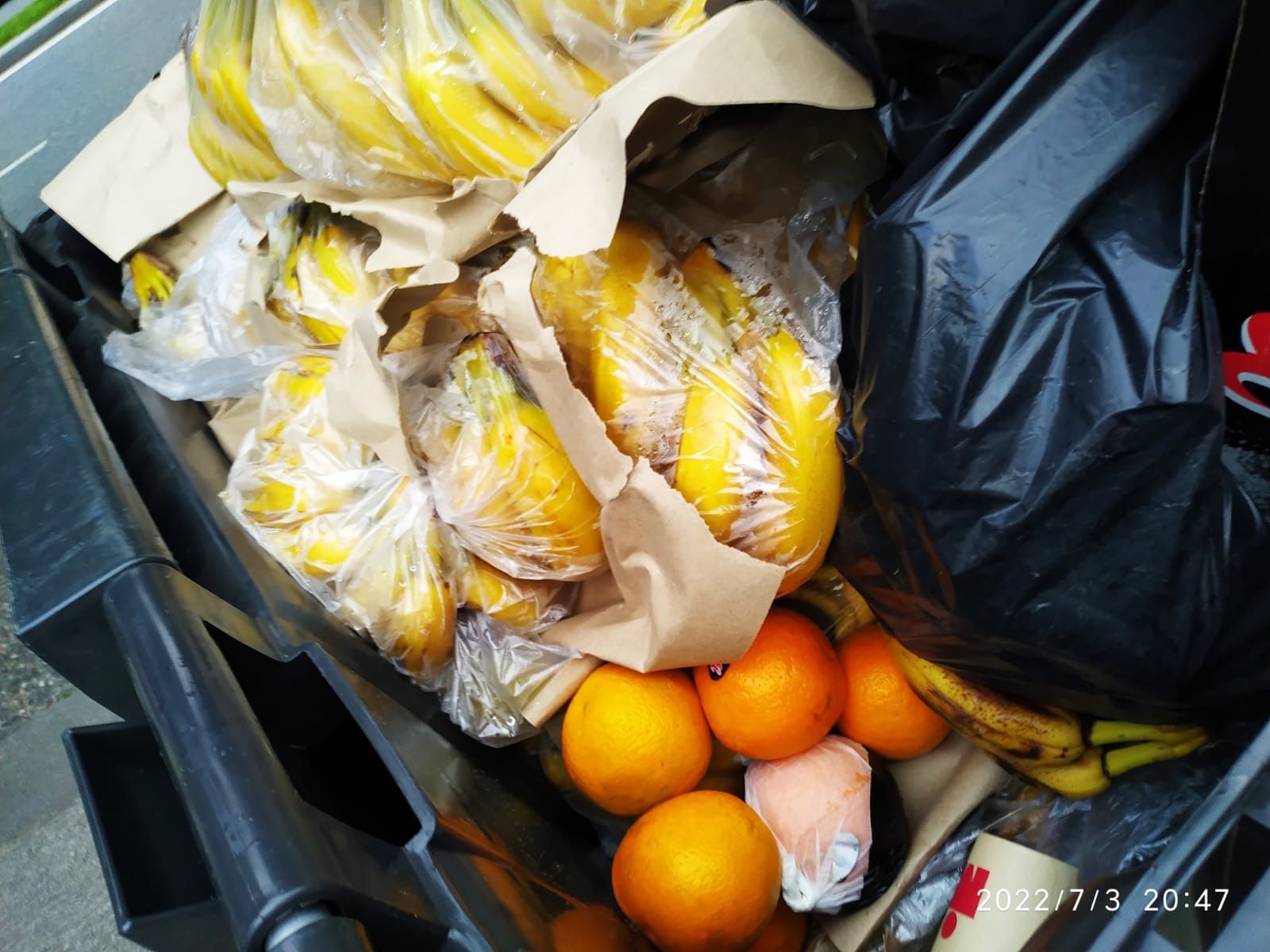 Plàtans i taronges al contenidor.