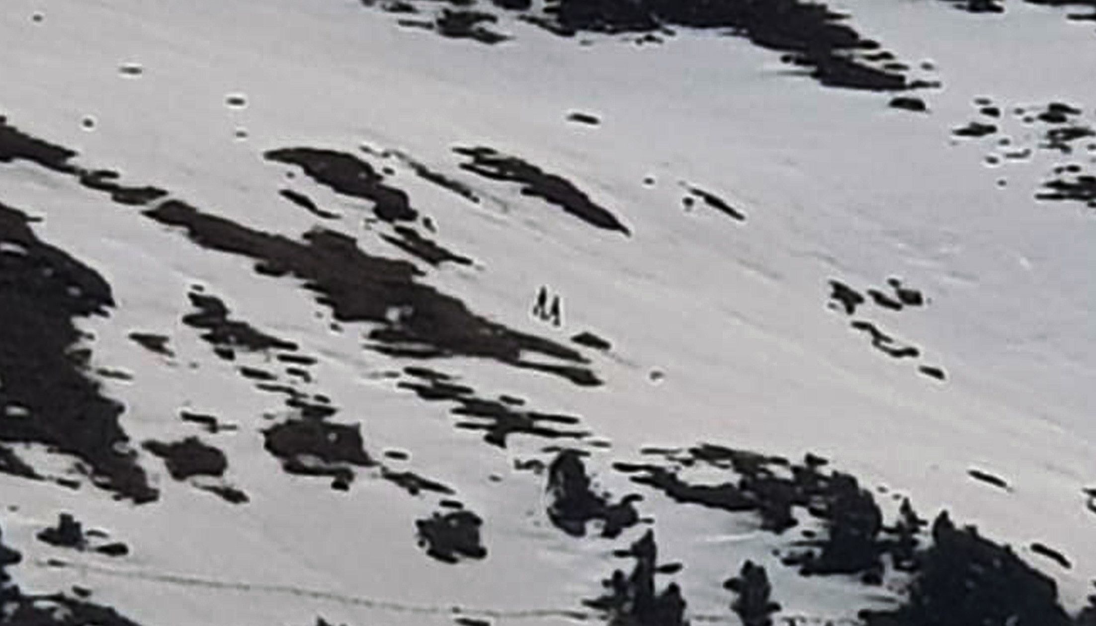 Dos contrabandistes caminant per la muntanya ahir al matí al Pas de la Casa. Dos contrabandistes caminant per la muntanya ahir al matí al Pas de la Casa.