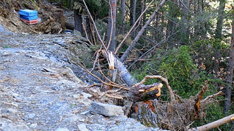 Zona on es faran les obres de l'ETR