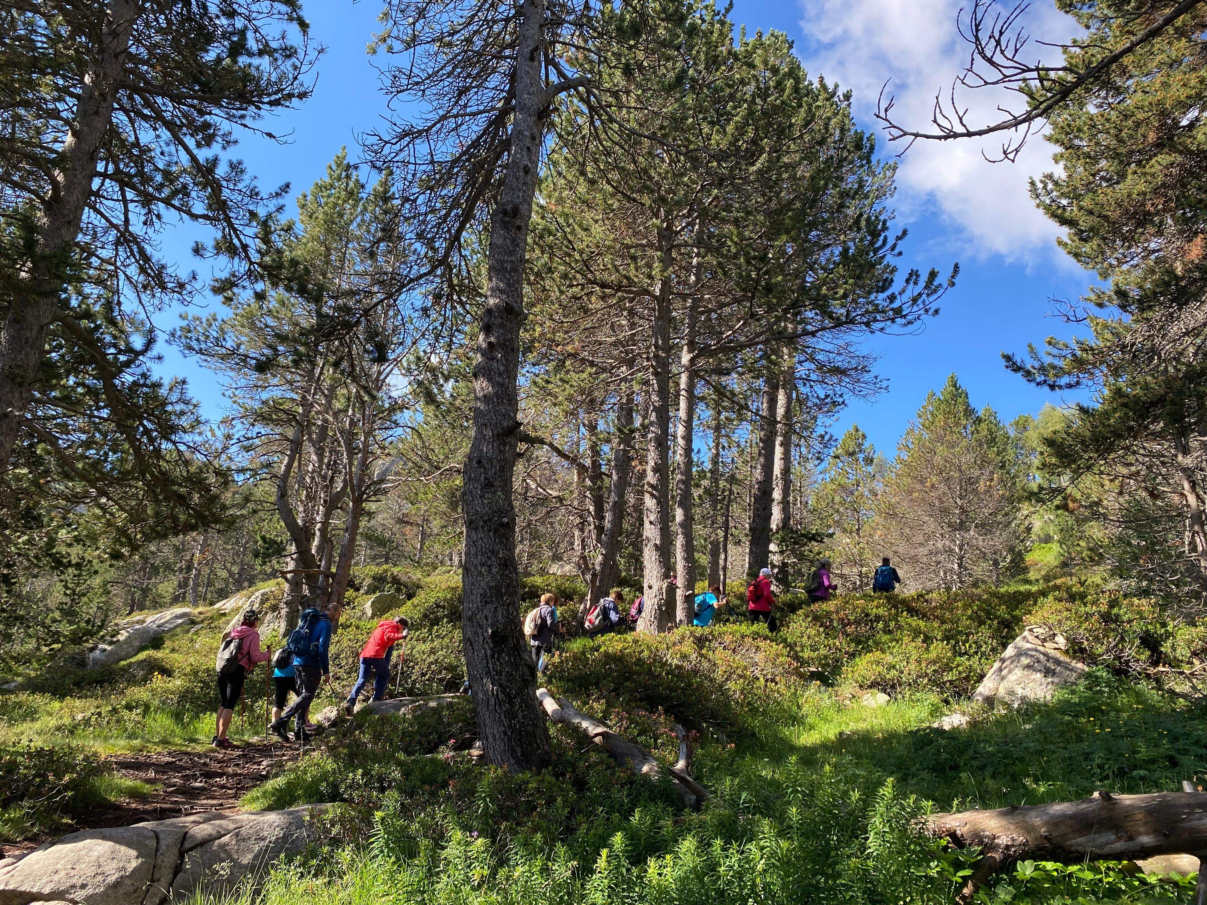 El comú ha organitzat caminades per a la gent gran aquests darrers dies.