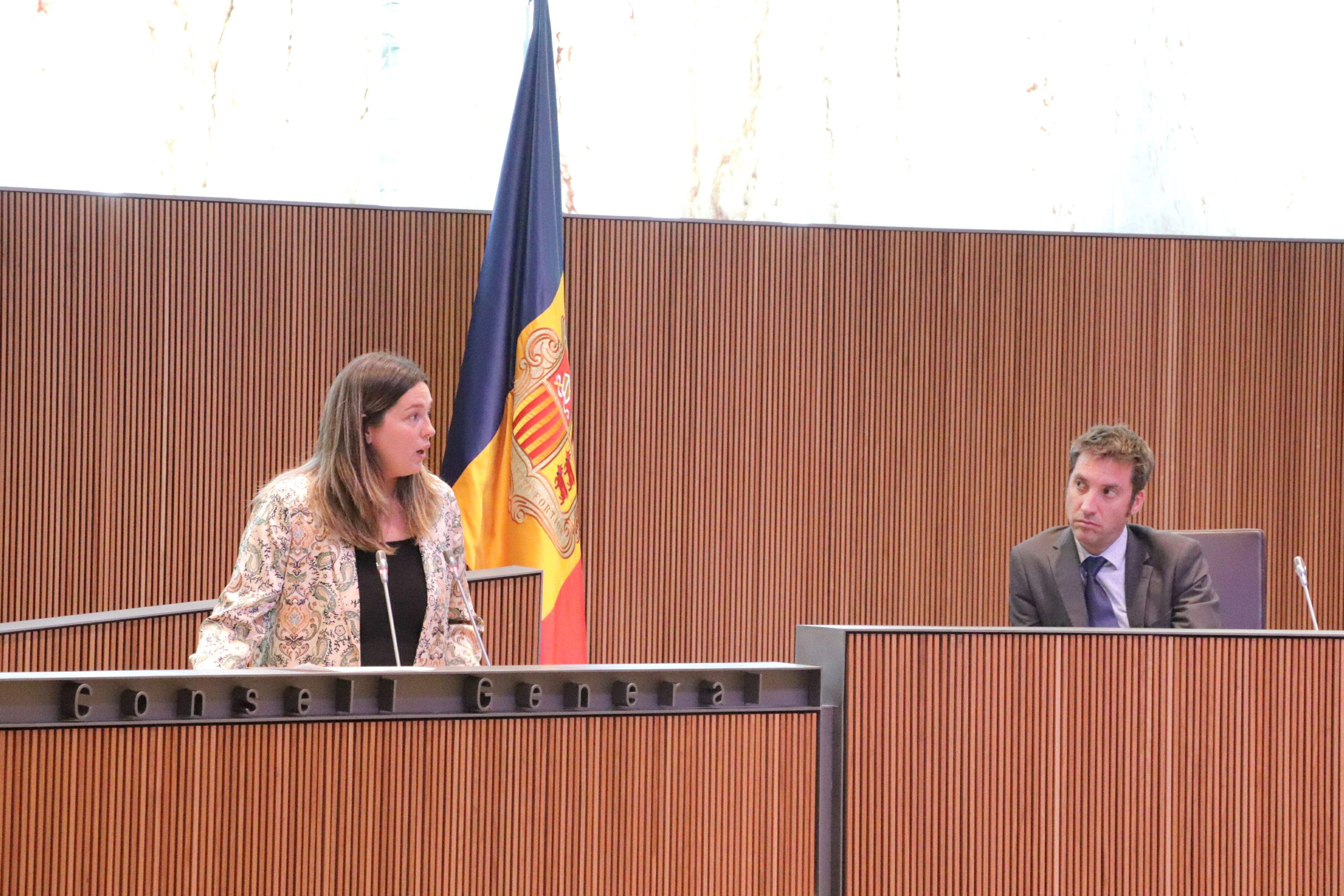 La consellera general demòcrata Maria Martisella durant la seva intervenció al ple.