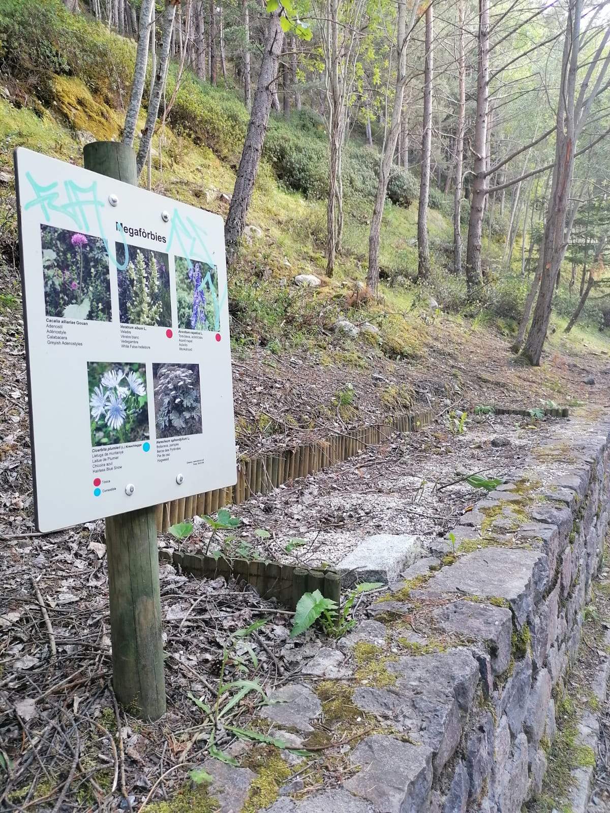 Un dels espais del camí de les Pardines on hi hauria d'haver flors.