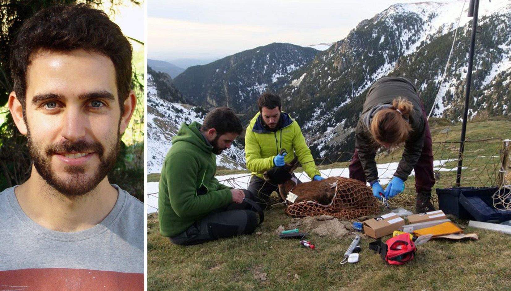 Johan Espunyes (esquerra) i membres de l'equip agafant mostres en un isard.