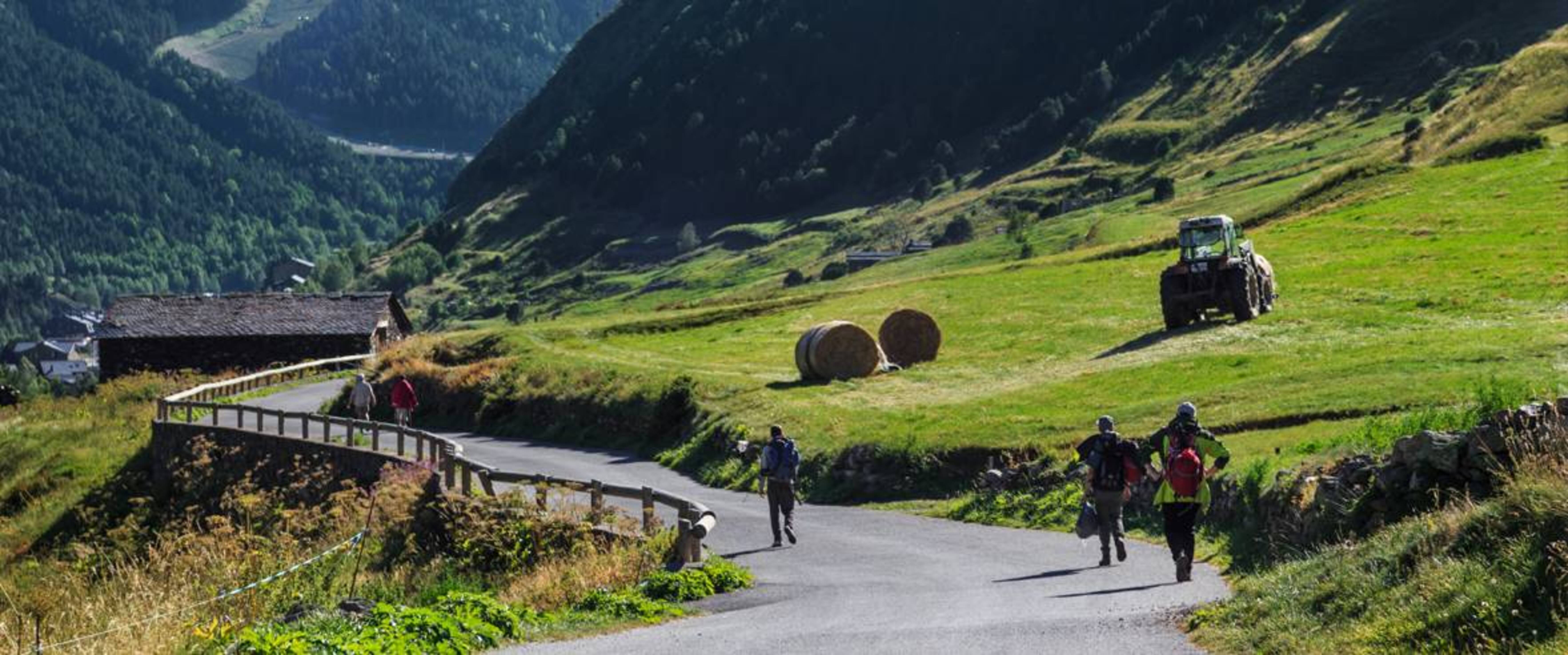La carretera que porta cap al fons de la vall.