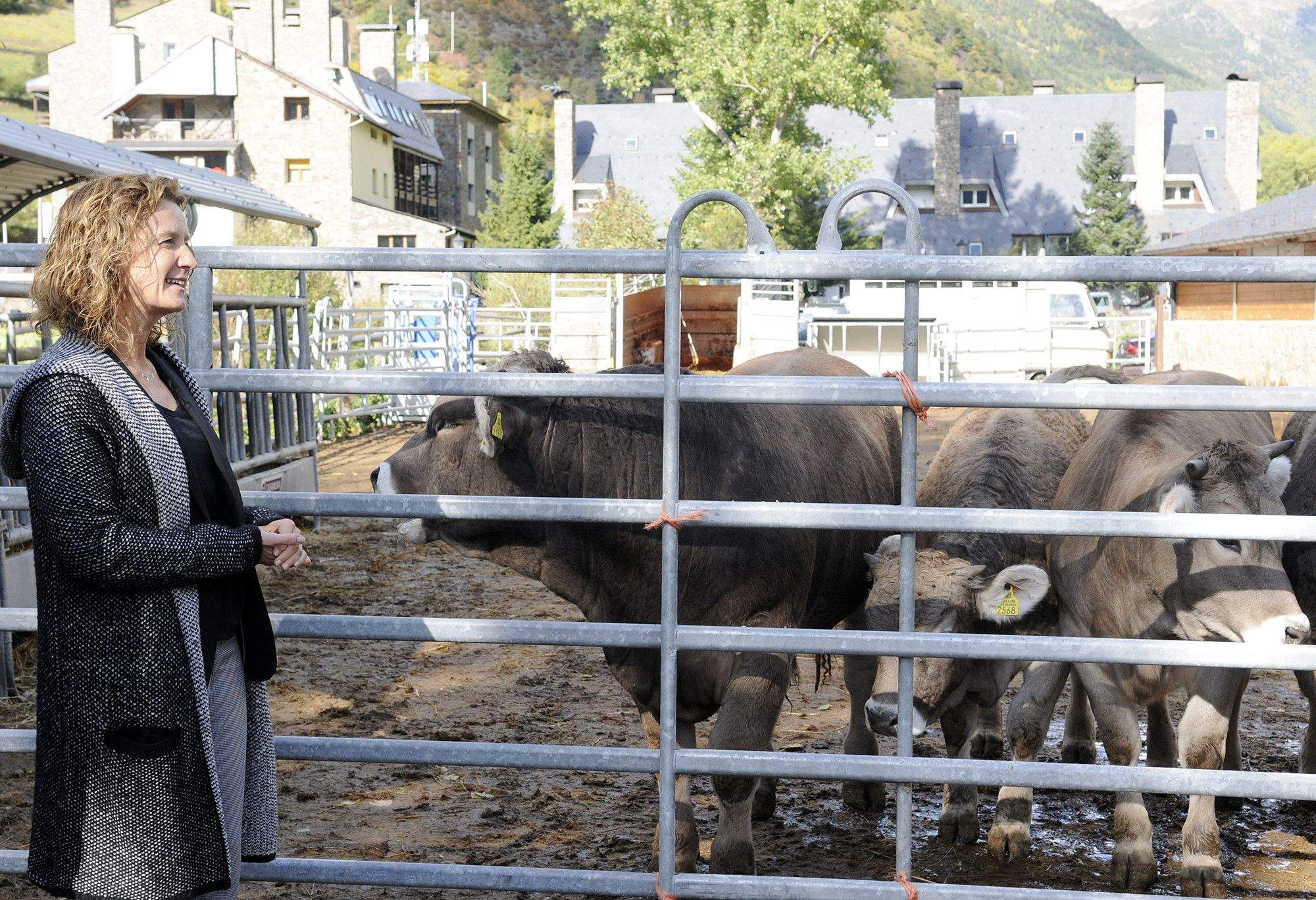 La ministra de de Medi Ambient, Agricultura i Sostenibilitat, Silvia Calvó en una explotació ramadera.