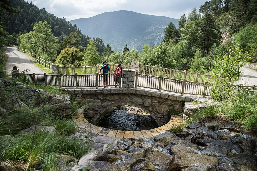 El camí de les Pardines.
