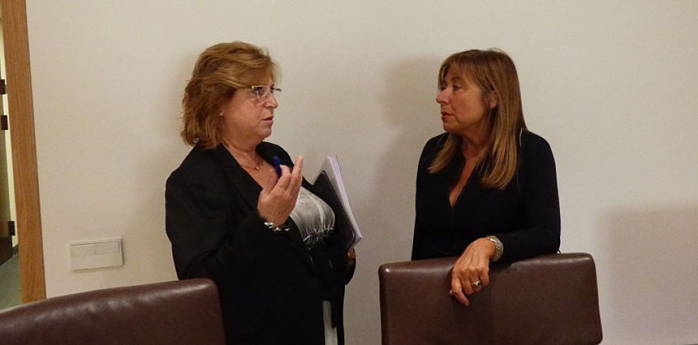 Carmona i Marsol, durant una sessió de comú.