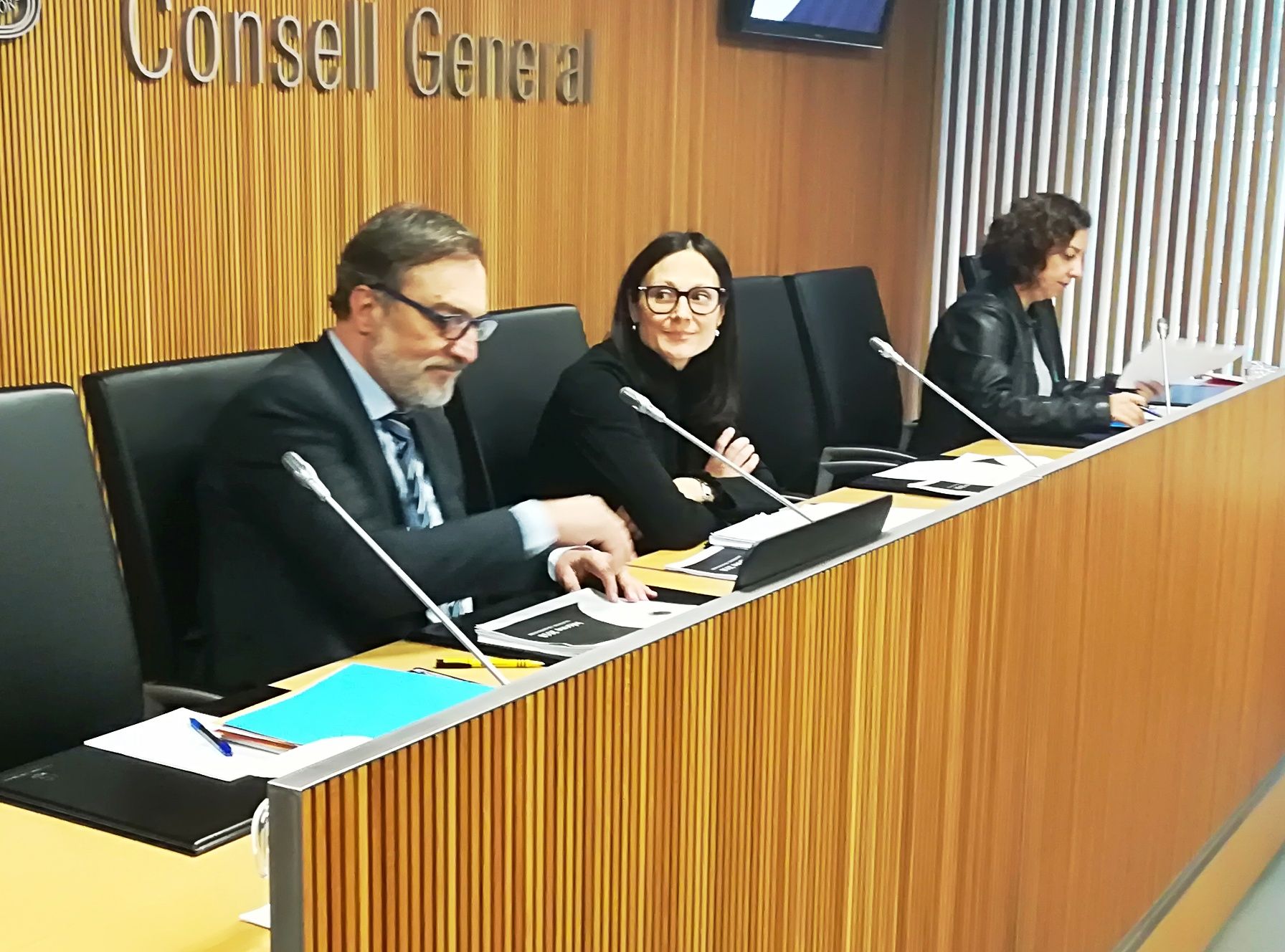 El Raonador del Ciutadà, Marc Vila durant la seva compareixença a la comissió legislativa.