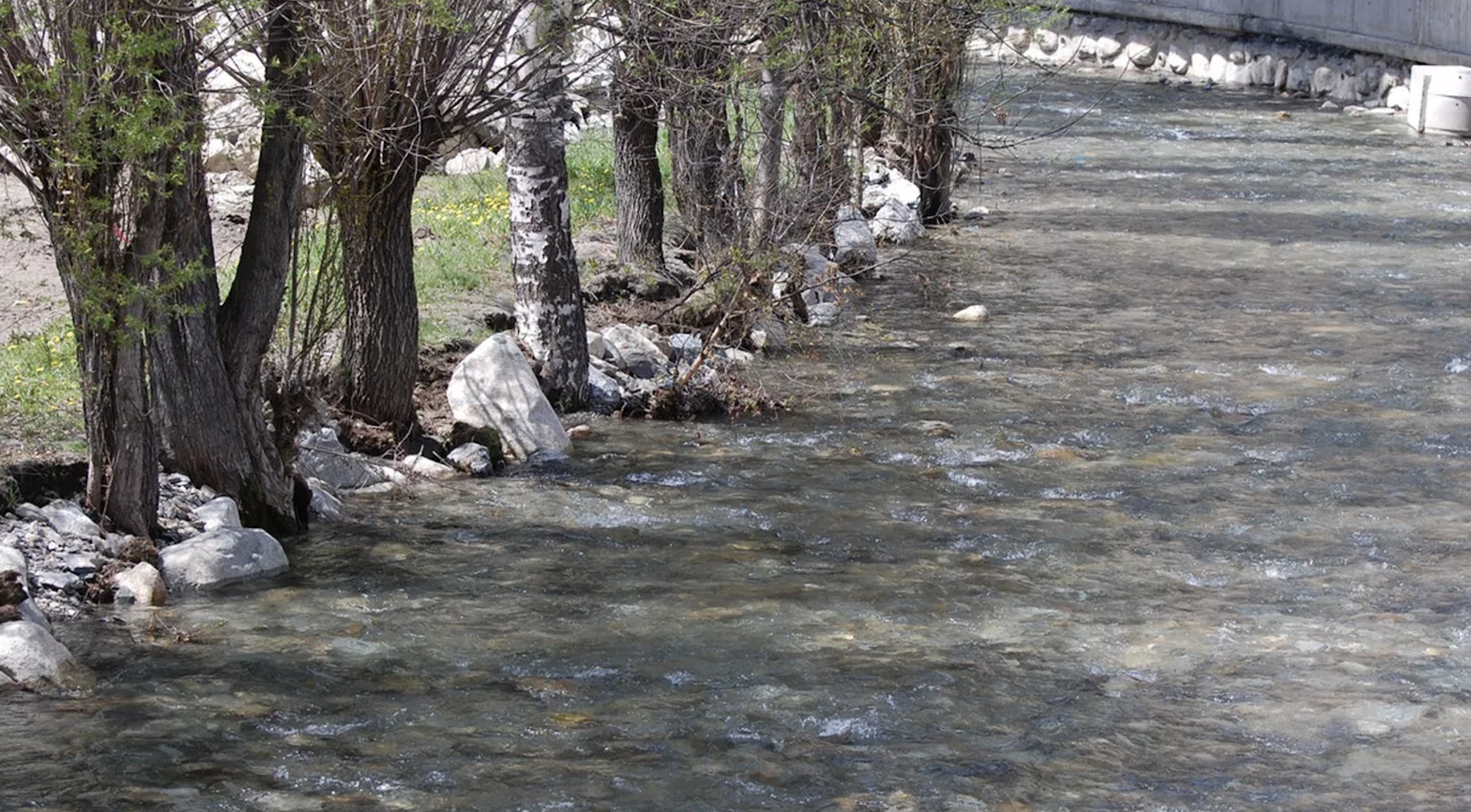 El riu Valira d'Orient al seu pas per Canillo.