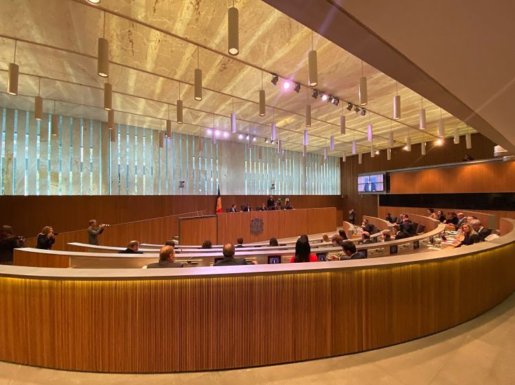 El ple del Consell General.