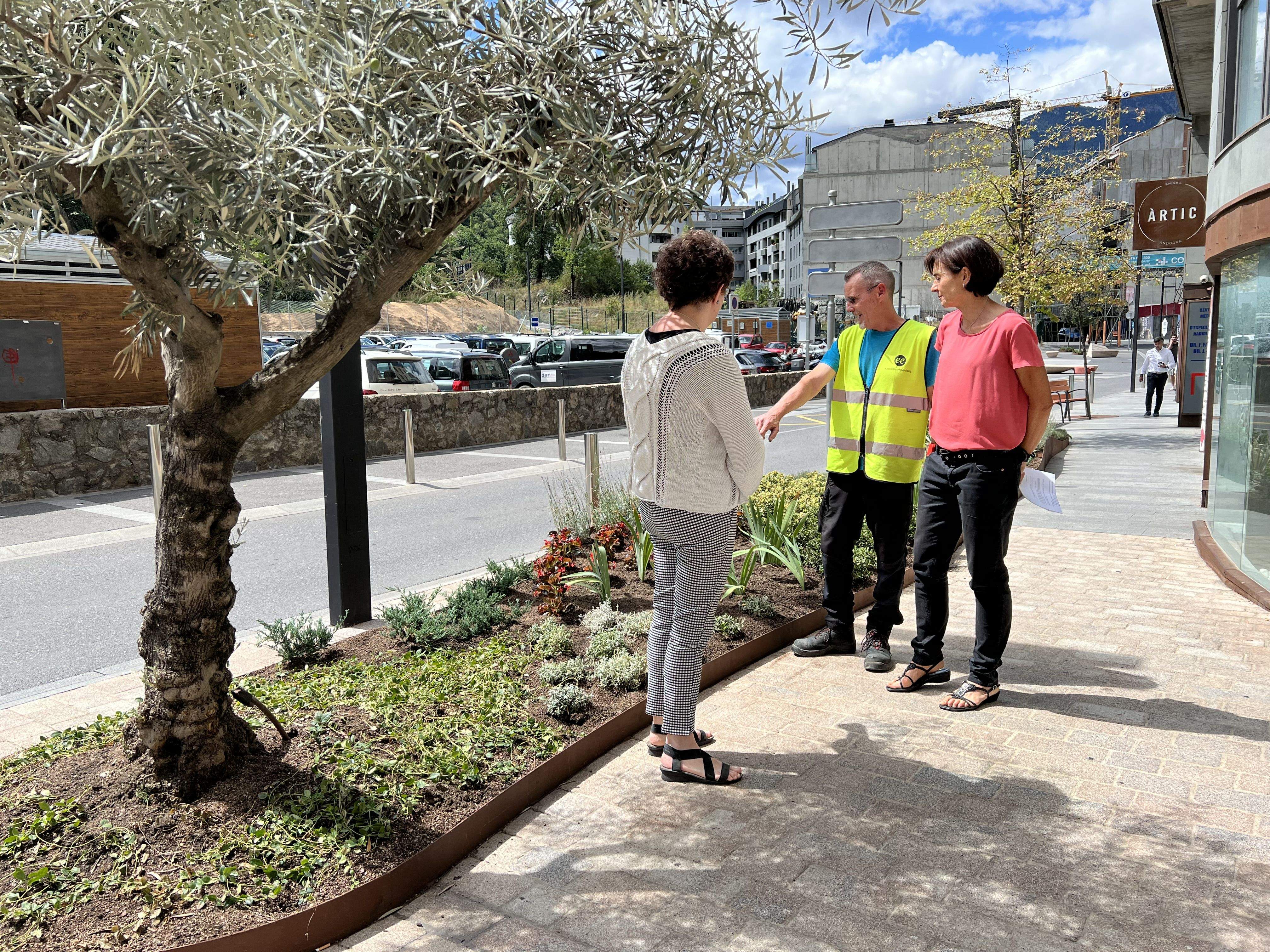 Una de les noves jardineres de l'avinguda del Fener.