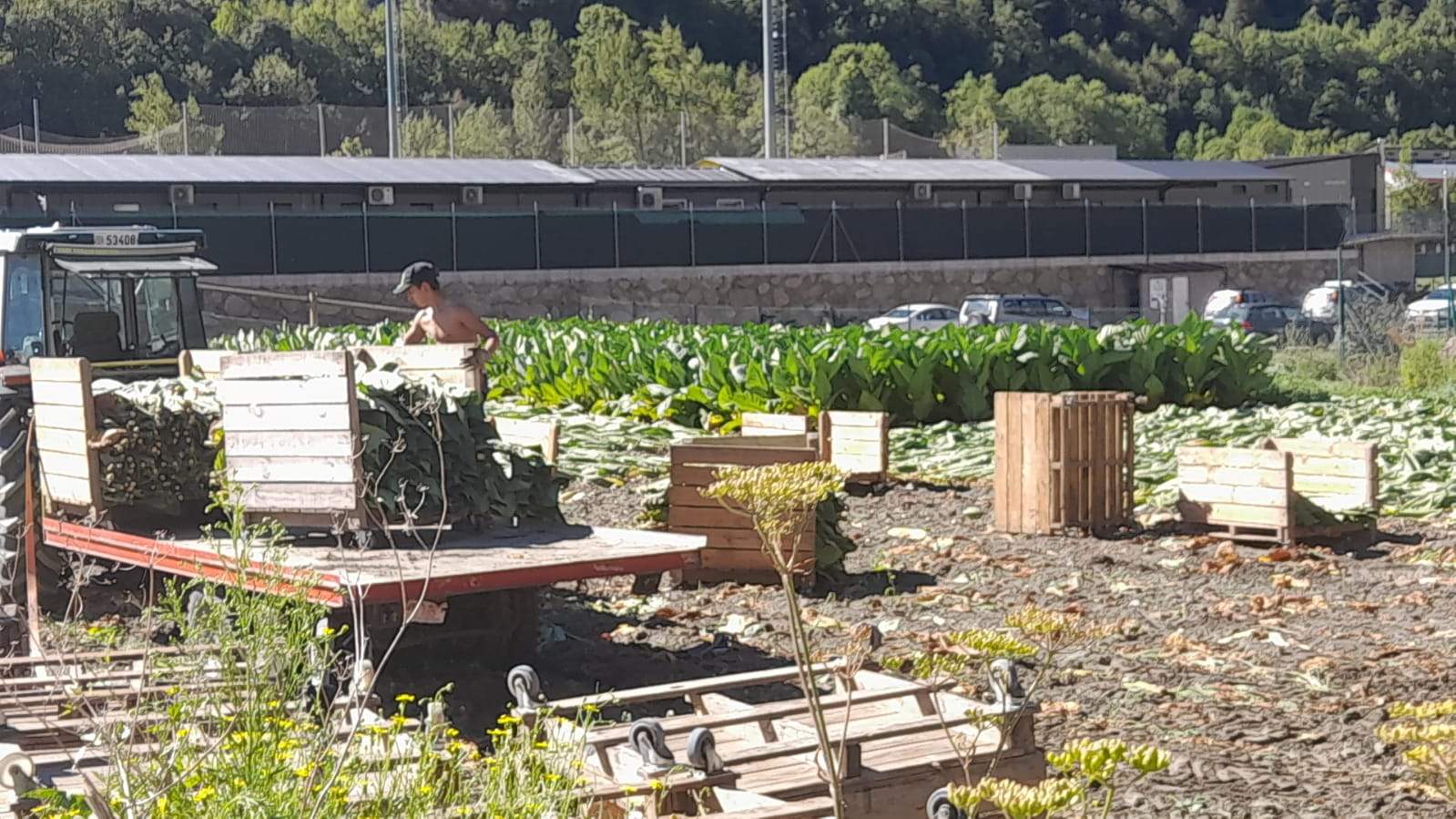 Collint tabac a Andorra la Vella.