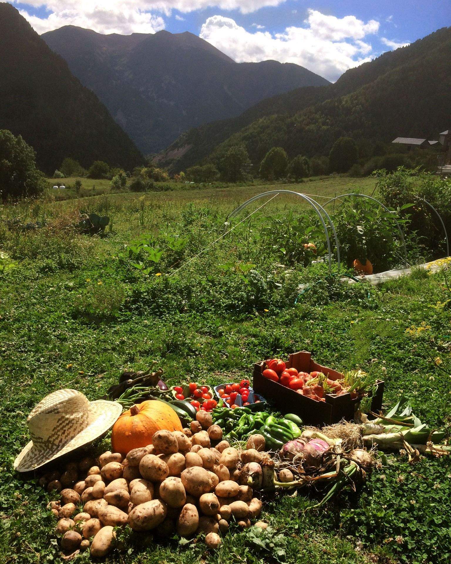 Els productes agrícoles també s'inclouen entre els artesans.