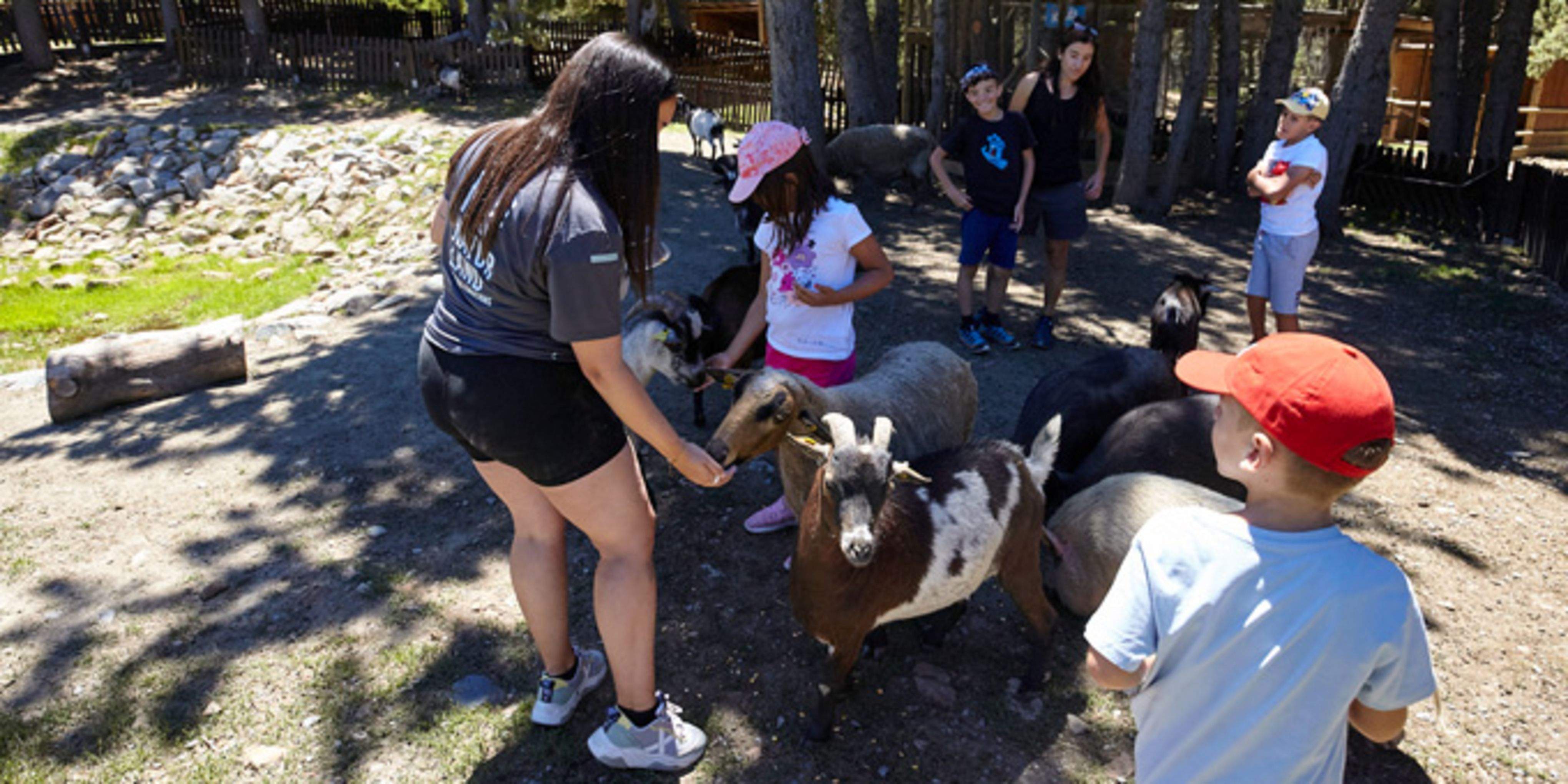 Una imatge d'arxiu de la Granja Conangle.