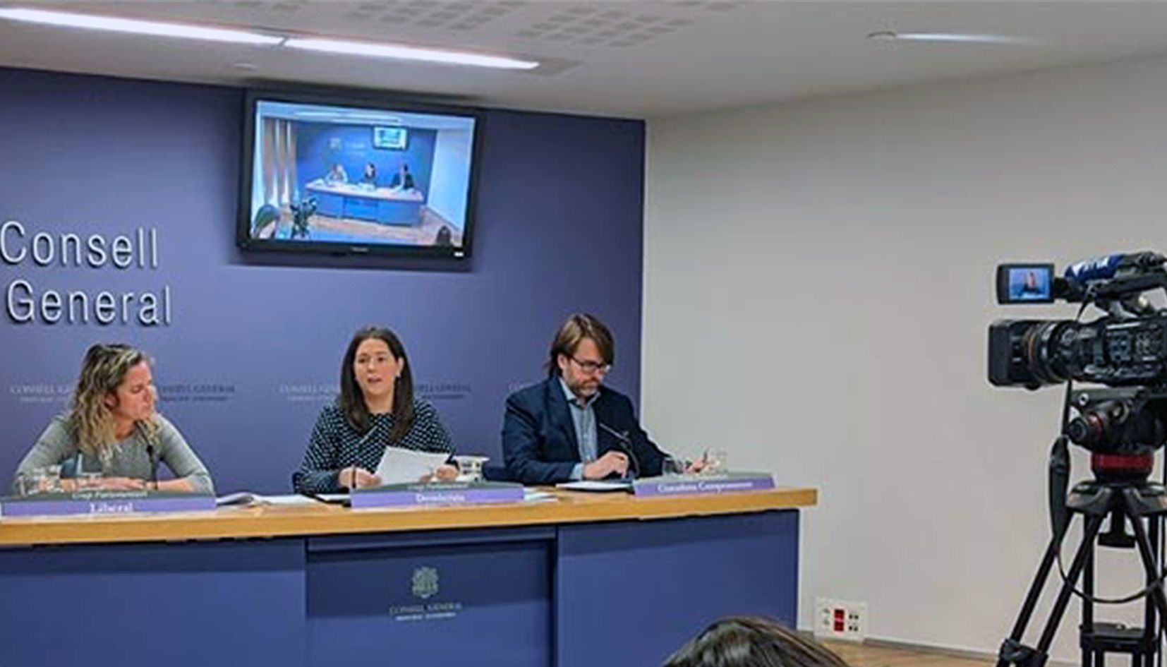 Els consellers generals que van presentar genèricament el text.