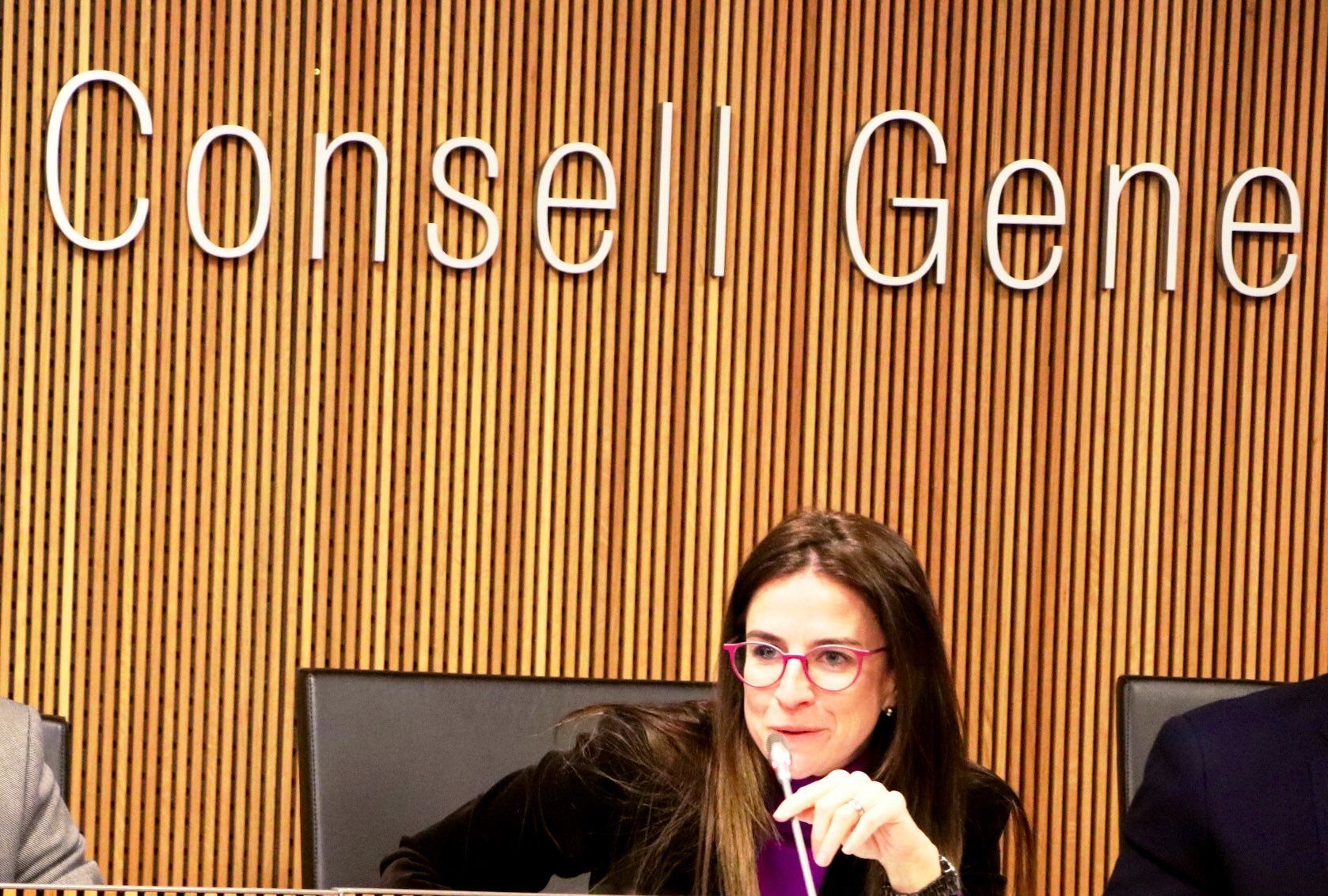 La ministra de Cultura i Esports, Sílvia Riva durant la seva compareixença