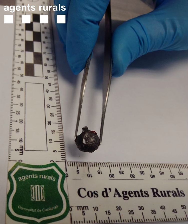 Les postes trobades al cos dels animals abatuts.